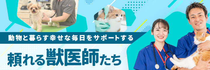 動物と暮らす幸せな毎日をサポートする頼れる獣医師たち